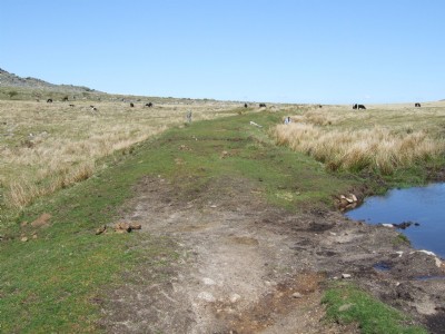 A Walk Up The Line
