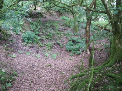 East Wheal Agar East Section