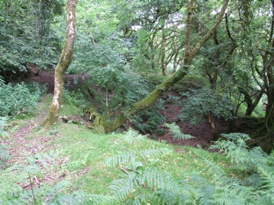 East Wheal Agar East Section
