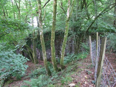 East Wheal Agar East Section