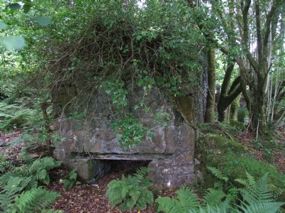 East Wheal Agar East Section