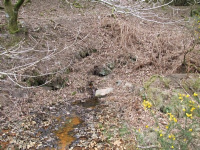 East Wheal Agar