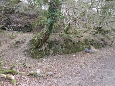 East Wheal Agar