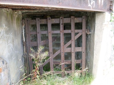Photographs Of Aaron Brutes Level