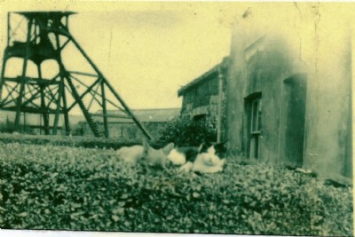 Historic Photographs Of Abercwmboi Colliery