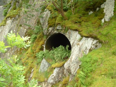 single bore
