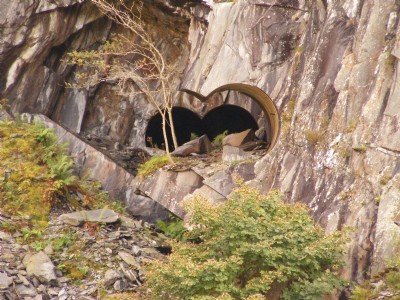binocular looking in
