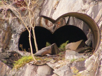 binocular looking in