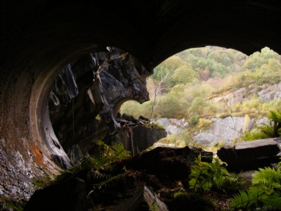 binocular looking out