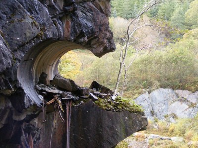 binocular looking out