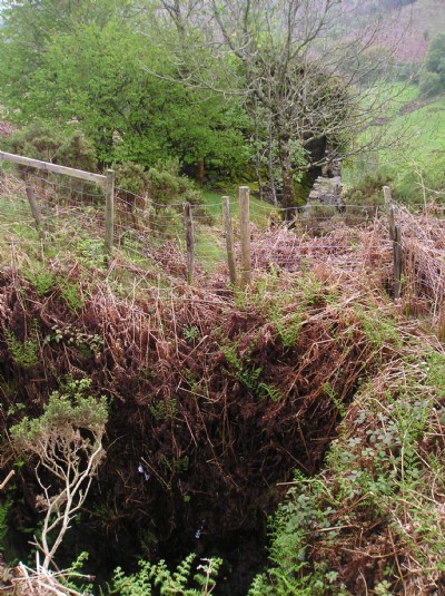 Photographs Of Aberdaunant