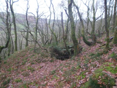 Abernant