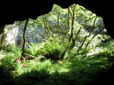 through the rock window