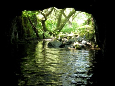 bottom adit portal