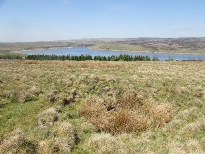 Photographs Of Aket