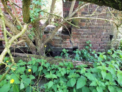Albion Ironworks Visit