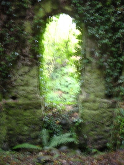Photographs Of Aller
