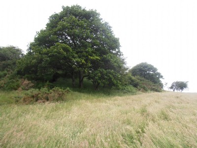 Alltgoch