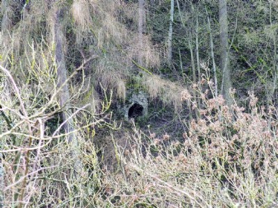 Photographs Of Alport