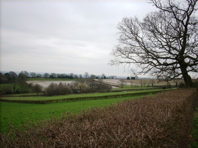 View of mine site