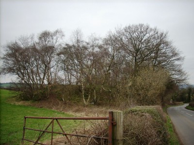 Photographs Of Alton