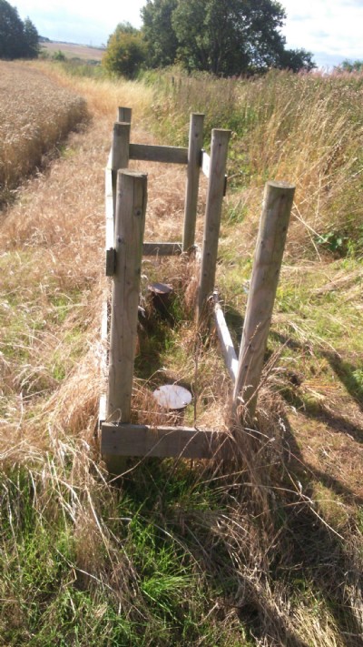 Close up of mine gas bore holes