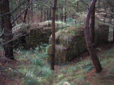 Photographs Of Arn Gill