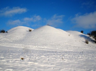 Tips under snow Dec 2009