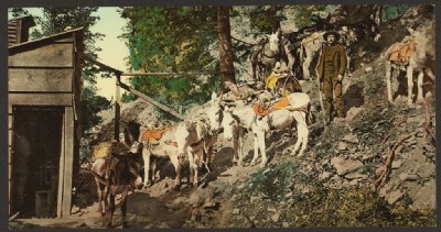 Historic Photographs Of Aspen