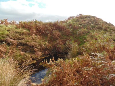 Auchenlongford