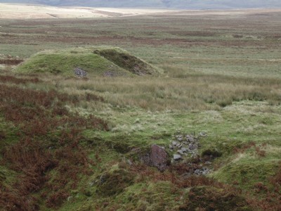 Photographs Of Auchinlongford