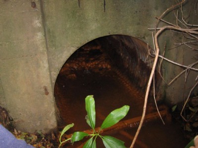Photographs Of Ayton Banks