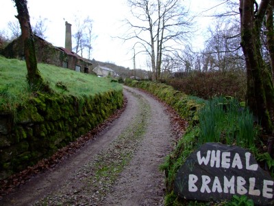 02.02.08- Wheal Bramble, Gunnislake