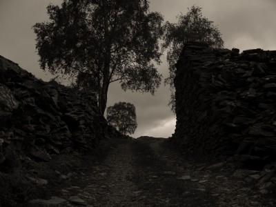 Photographs Of Banks 