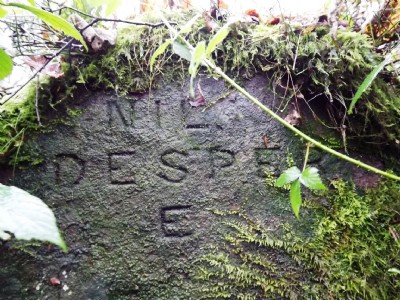 Photographs Of Barreledge