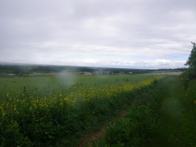 Barrington