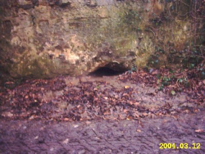 Historic Photographs Of Bassenge.