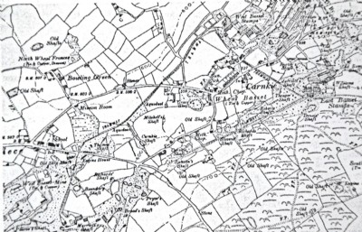 Historic Photographs Of Basset