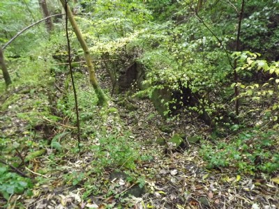 Photographs Of Beamish (Burn Pumping Engine)