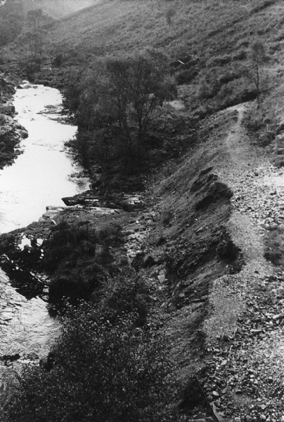 Photographs Of Beddcoedwr