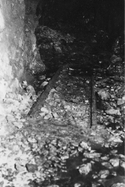 Bedd y Coedwr mine