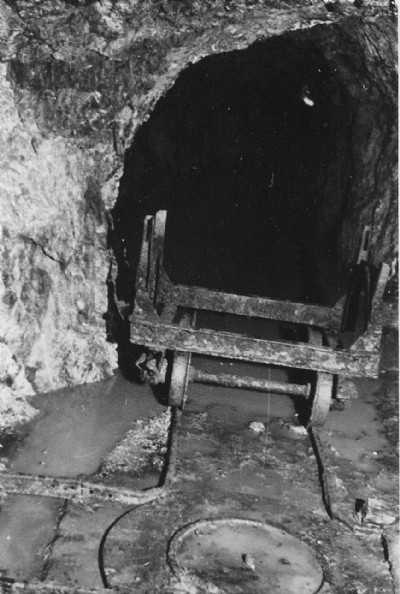 Bedd y Coedwr mine