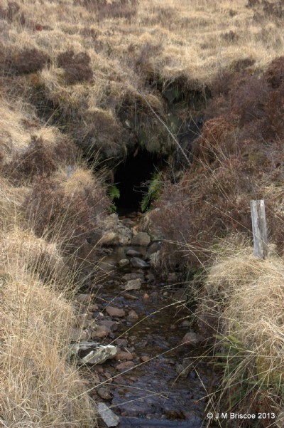 Photographs Of Bellsgrove