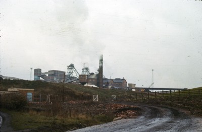 10 November 1975