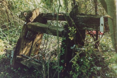 Waggon remains, 1988