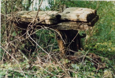 Waggon remains, 1988