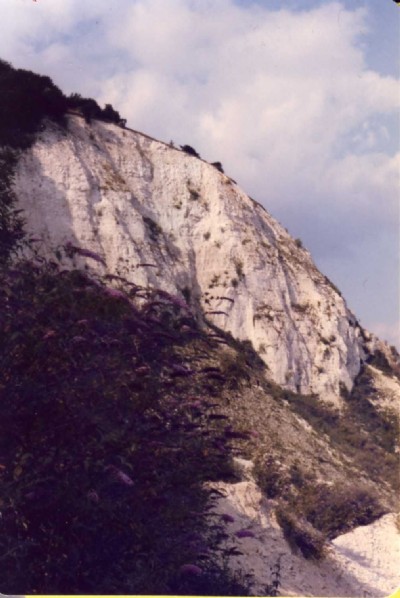 Main Pit 1979