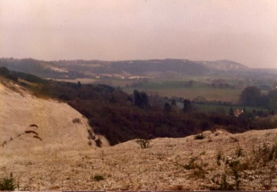 Upper whitestone pit, Betchworth 1975