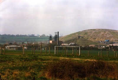 Birch Coppice