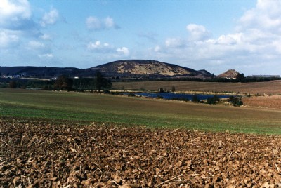 Photographs Of Birch Coppice (Photo ref 59668)